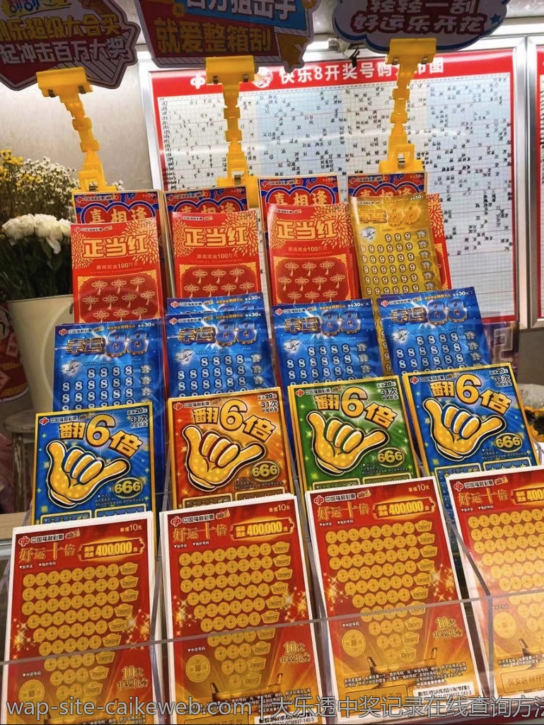 大乐透中奖记录在线查询方法