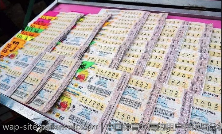 中国体育彩票的用户构成与分析